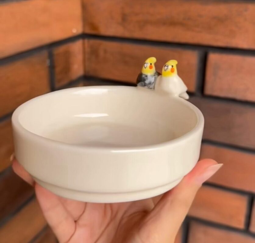 دون‌خوری جوجویی عروس هلندی